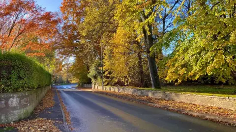 Elena/BBC weather Watchers A road through Nairn with tall trees with vibrant leaves on either side of the road.