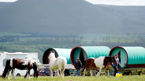 Owen Humphreys/PA Media Horses graze in front of green-topped parked old style carriages and a caravan. In the distance is a high ridge with the point of a mountain towering even higher into the sky.