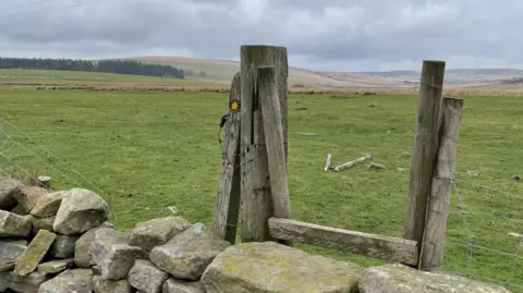 BBC A style over a dry stone wall leading to a footpath across Pennine moorland. There are hills in the distance and tufts of grass in the foreground.