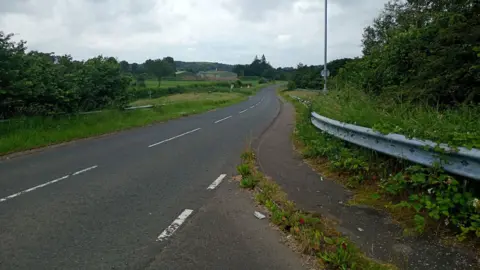BBC The Green Road - a long road is pictured with fields on one side of it and bushes and trees on both sides. There is also a footpath on one side.