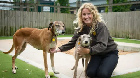 Rehoming manager at the Dogs Trust, Kim Davies is on her knees next to two dogs. Kim has curly blonde hair. One dog is brown and the other dog is a shabby grey. They are outside in a play pen.  