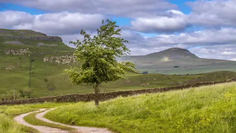 Getty Images Pen-y-ghent in the Yorkshire Dales on the Pennine Way.