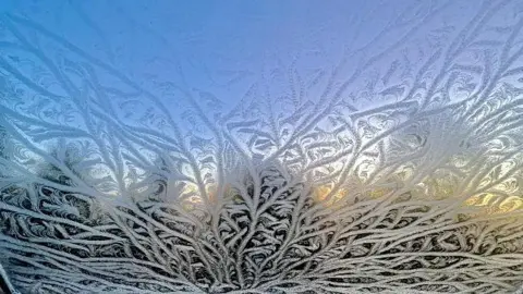 Buster's Back Yard Icy trails on glass