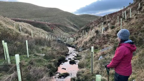 A worker who is wearing a woolly hat and pink coat stands with their hands on a spade looking over several circular cones (where trees have been planted). They look over rolling hills of the North Pennines. 
