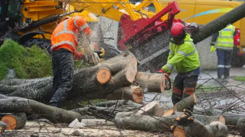 Two men in the foreground with chainsaws, breaking up a fallen tree. They are both wearing hi-vis jacket and  safety gear. There is machinery in the background