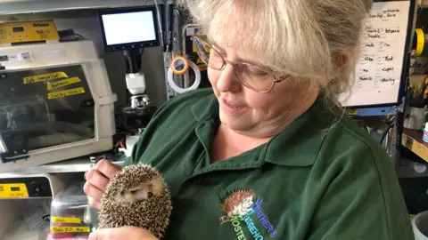 John Devine/BBC A photo of Heather Johnson holding a hedgehog in her hands. She is looking down and at the hedgehog. She is wearing a green polo top with her rescue's logo on it. Rescue equipment can be seen on a shelf behind her.