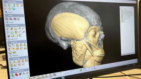 A computer screen showing a 3D image of skull with facial muscles opened in a computer programme.