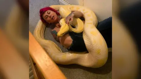 Linda Elmer A woman with pink hair is pictured lying on the floor with an enormous yellow python draped over her body. 