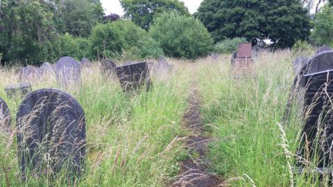 Long grass obscuring graves and hanging over pathway in cemetery