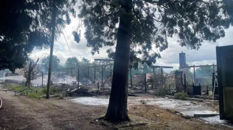 The smoking remains of a large college building which has been destroyed by a fire. A tree is directly in front of us.