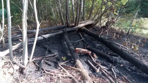 Kent Wildlife Trust Burnt woodland