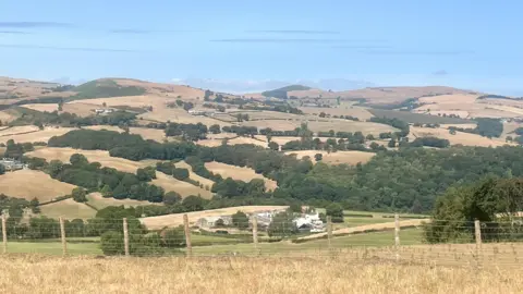 The view from Nantglyn, Denbigshiren of an agricultural landscape covered with parched fields. There is a fence in the foreground, with dry hills in the background. 