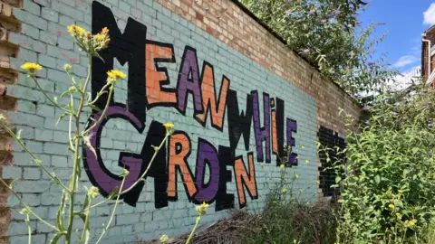 Jon Wright/BBC A brick wall in a garden that has been painted over in a white paint. The words Meanwhile Garden have been painted on it in different colours. There are some bushes, flowers and vegetation nearby. It is a sunny day. 