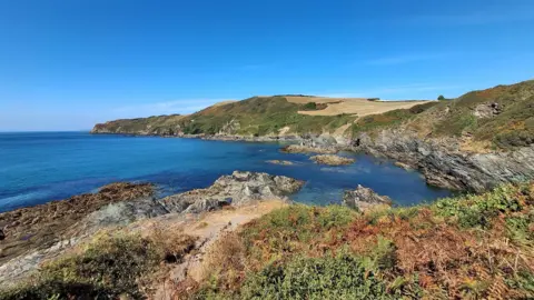 Lansallos in Cornwall. There is a rocky cliff with brown fields at the top. The sea is blue and there is a blue clear sky. 