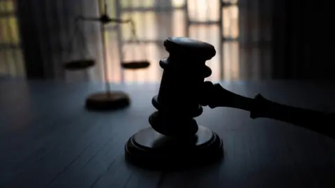 the silhouette of a gavel hitting a stock on a wooden table. In the background are windows and gold scales