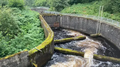 Fish ladder