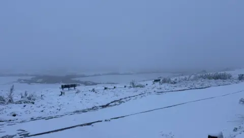 Gareth Lloyd/BBC Dunstable Downs showing a snow scene and a distant bench