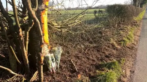 A hedgerow with a section missing runs alongside a road, with flowers wrapped in plastic leaning against a tree trunk.