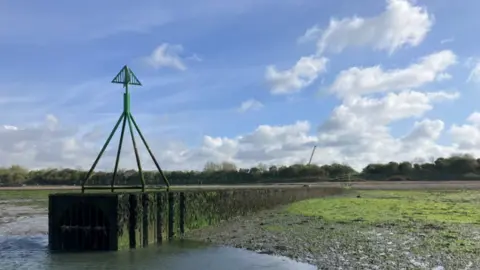 A photo of Budds Farm wastewater treatment plant overflow pipe at Langstone Harbour on a sunny day