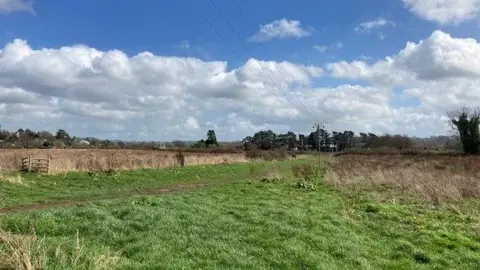 BBC Green field with bright blue sky. Some dried up grasses can be seen in the distance