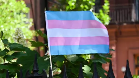 A trans flag flies on a wrought-iron fence with greenery in the background. The flag is made up of blue, pink and white horizontal stripes.