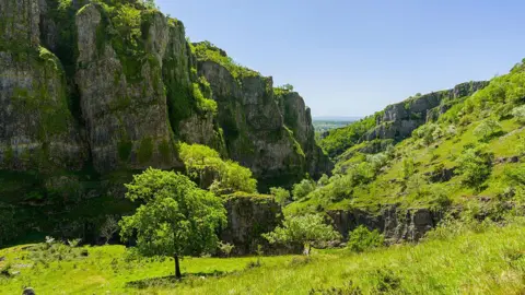 Getty Images Cheddar Gorge pictured on a sunny day. It is a rocky mountainous region covered in bright green grass and trees.