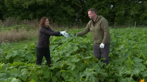 Emma and Geraint Evans picking courgettes on their nine-acre plot in the Vale of Glamorgan. 