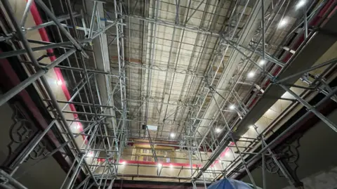 Shaun Whitmore/BBC A photo from the Victorian Natural History Gallery. It is taken from a low vantage point and looks toward the room's ceiling. Huge amounts of scaffolding line the room. Lights can be seen placed along the scaffolding to illuminate room.