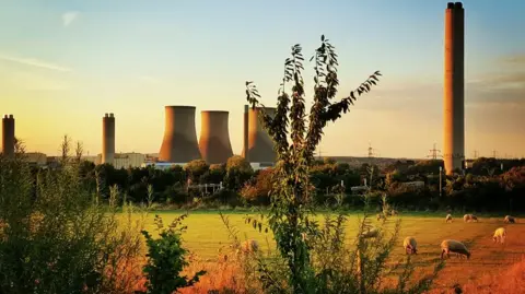 Hedley Thorne A sunny evening or early morning at Didcot A Power Station. The three of its cooling towers are visible from the distance. Sheep are grazing in the green space in front of it.