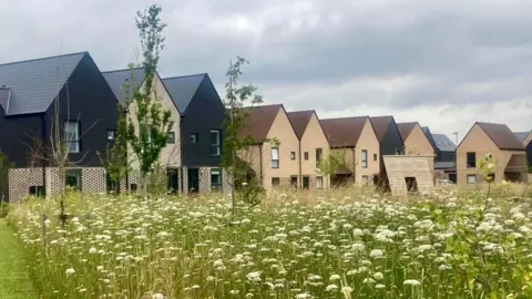 A row of new-build houses with a green meadow in front of them. There are flowers and grass in the meadow. The houses are made of brick with gabled roofs. There are a few trees and the sky is grey. 