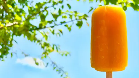 An orange ice lolly, in front of a blue sky, with leaves from a tree to the right.