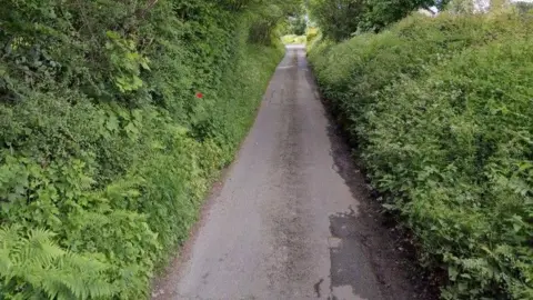 Google A country lane that is narrow and surrounded on both sides by green trees, grass, weeds and bushes