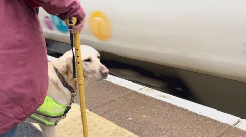 Kit Taylor/BBC A train moves quickly past the platform while a person waits with their guide dog and a yellow walking stick. 