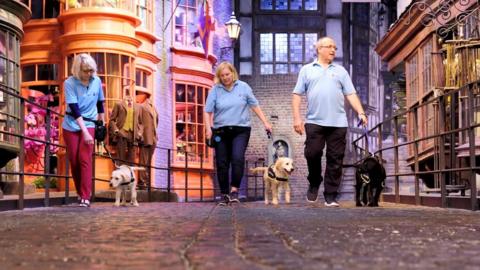 Trainers walking guide dogs through the Harry Potter set used for Diagon Alley
