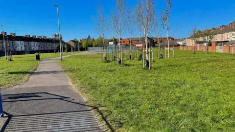 Gill Burdekin Large green space in a park, with a tarmac path and small trees.