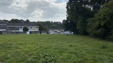 Matt Flemming The green space at Wilmot Gardens pictured. The photograph shows an area of green land with large trees to the right. Terrace housing can be seen at the bottom of the field and to the left of it.