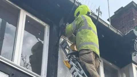 Linjoy Wildlife Sanctuary and Rescue A firefighter holding a pigeon on the side of a building