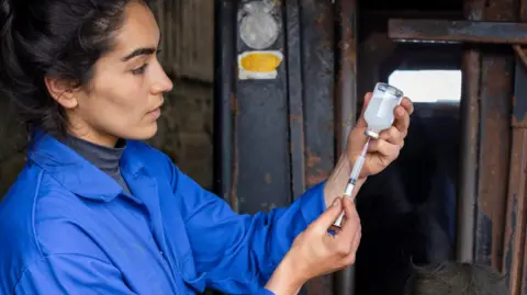 A stock image of a vet filling a syringe full of a cloudy white liquid in a glass bottle. She is wearing a blue jumpsuit.