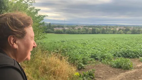 LDRS A woman on the left of the image, with brown hair and a dark top on, stares across a landscape of fields 