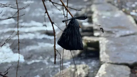 Exmoor National Park Authority A black plastic pag containing dog poo hanging on a tree branch by a stream on Exmoor National Park