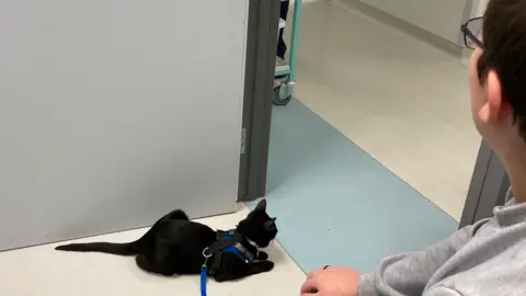 Family handout A boy sat in a hospital corridor with a cat on the floor by his feet. The cat is black and has a blue lead. 