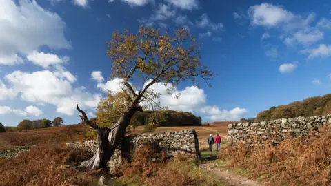 Getty Images Two people walking amongst the autumn colours of Bradgate Park in Leicestershire