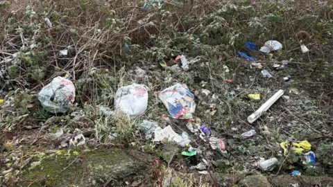 Cat Bills General waste bags dumped in a green area. Many of the bags have split so the rubbish is everywhere. 