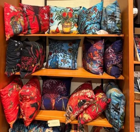 Carley King Pillows on a shelf