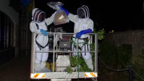 Tony Rive Two people wearing beekeepers' protective clothing and face-shield stands on a cherrypicker platform holding up an Asian Hornet's nest in a transparent bag