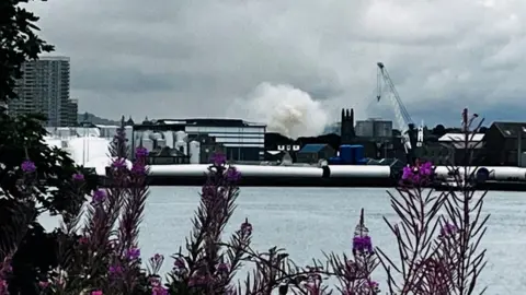 Humo procedente de un incendio a lo lejos, fotografiado desde el agua, con flores moradas en primer plano.