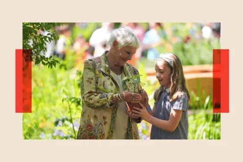 PA Media Dame Judi Dench is presented with a seedling from the Sycamore Gap tree