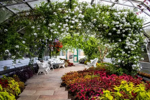 Steven Neish David Welch Winter Gardens in Aberdeen