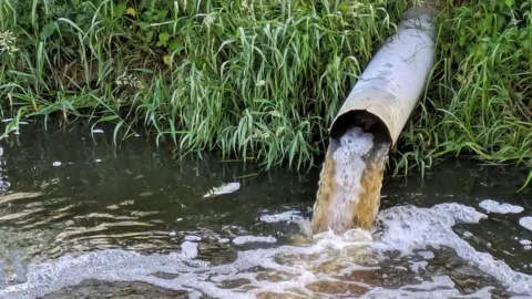 An metal pipe jutting out into a river discharges a brown liquid. There are bubbles on the surface of the river and on the banks is green grass and bracken. The sunlight is reflecting off the water