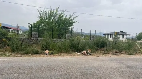 PA Media A road in Turkey that has overgrown vegetation on its verge and a fence.